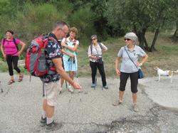  <a style='color: #fff;' href='/uploaded/photo/piegon-5f81efe7a41af.jpg'>(Télécharger)</a>