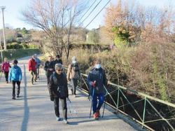  <a style='color: #fff;' href='/uploaded/photo/piegon-60085d6894d7d.jpg'>(Télécharger)</a>