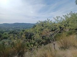  <a style='color: #fff;' href='/uploaded/photo/piegon-632368399afc9.jpg'>(Télécharger)</a>