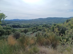  <a style='color: #fff;' href='/uploaded/photo/piegon-6323683a03cc9.jpg'>(Télécharger)</a>