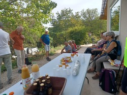  <a style='color: #fff;' href='/uploaded/photo/piegon-6323683a3b028.jpg'>(Télécharger)</a>