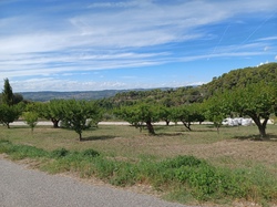  <a style='color: #fff;' href='/uploaded/photo/piegon-6323683c3d77a.jpg'>(Télécharger)</a>