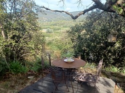  <a style='color: #fff;' href='/uploaded/photo/piegon-6323683e28def.jpg'>(Télécharger)</a>