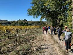  <a style='color: #fff;' href='/uploaded/photo/piegon-beaulieu-654cd5ec022fa.jpg'>(Télécharger)</a>