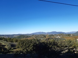  <a style='color: #fff;' href='/uploaded/photo/piegon-beaulieu-654d1ed26dd4a.jpg'>(Télécharger)</a>