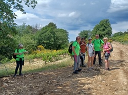  <a style='color: #fff;' href='/uploaded/photo/piegon-bois-du-roi-6479b92c00e51.jpg'>(Télécharger)</a>