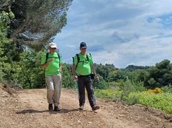  <a style='color: #fff;' href='/uploaded/photo/piegon-bois-du-roi-6479b931e4e76.jpg'>(Télécharger)</a>