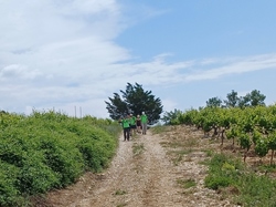  <a style='color: #fff;' href='/uploaded/photo/piegon-bois-du-roi-6479b9383a94d.jpg'>(Télécharger)</a>