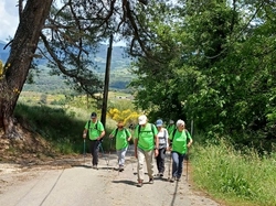  <a style='color: #fff;' href='/uploaded/photo/piegon-bois-du-roi-6479b9426e743.jpg'>(Télécharger)</a>