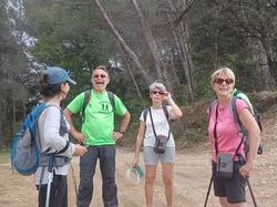  <a style='color: #fff;' href='/uploaded/photo/piegon-bois-du-roi-6479b94b5dd6b.jpg'>(Télécharger)</a>