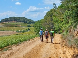  <a style='color: #fff;' href='/uploaded/photo/piegon-bois-du-roi-6479b950e9ee7.jpg'>(Télécharger)</a>