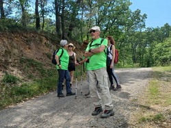  <a style='color: #fff;' href='/uploaded/photo/piegon-bois-du-roi-6479b9516b12f.jpg'>(Télécharger)</a>