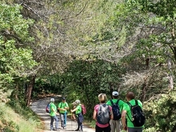  <a style='color: #fff;' href='/uploaded/photo/piegon-bois-du-roi-6479b9573babe.jpg'>(Télécharger)</a>