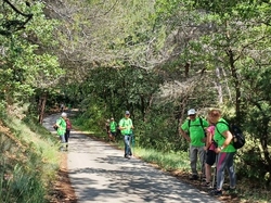  <a style='color: #fff;' href='/uploaded/photo/piegon-bois-du-roi-6479b9587263c.jpg'>(Télécharger)</a>