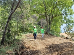  <a style='color: #fff;' href='/uploaded/photo/piegon-bois-du-roi-6479b959bfb05.jpg'>(Télécharger)</a>