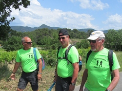  <a style='color: #fff;' href='/uploaded/photo/piegon-bois-du-roi-6479b98108e80.jpg'>(Télécharger)</a>