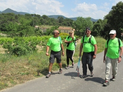  <a style='color: #fff;' href='/uploaded/photo/piegon-bois-du-roi-6479b981c622b.jpg'>(Télécharger)</a>