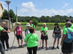  <a style='color: #fff;' href='/uploaded/photo/piegon-bois-du-roi-6479b9931899c.jpg'>(Télécharger)</a>