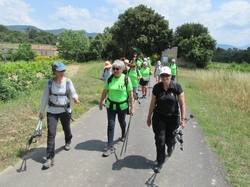  <a style='color: #fff;' href='/uploaded/photo/piegon-bois-du-roi-6479b99f37898.jpg'>(Télécharger)</a>