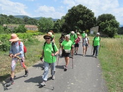  <a style='color: #fff;' href='/uploaded/photo/piegon-bois-du-roi-6479b99f46841.jpg'>(Télécharger)</a>