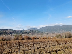  <a style='color: #fff;' href='/uploaded/photo/piegon-rando-cry-pes-65c51659f1803.jpg'>(Télécharger)</a>