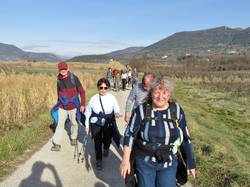  <a style='color: #fff;' href='/uploaded/photo/piegon-rando-cry-pes-65c517669a7be.jpg'>(Télécharger)</a>