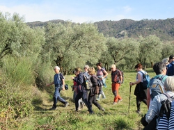  <a style='color: #fff;' href='/uploaded/photo/piegon-rando-cry-pes-65c51789ab75e.jpg'>(Télécharger)</a>