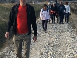  <a style='color: #fff;' href='/uploaded/photo/piegon-rando-cry-pes-65c51b1e818b5.jpg'>(Télécharger)</a>