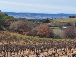  <a style='color: #fff;' href='/uploaded/photo/puymeras-65d74bfb3573d.jpg'>(Télécharger)</a>