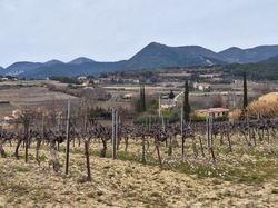  <a style='color: #fff;' href='/uploaded/photo/puymeras-65d74c60d3112.jpg'>(Télécharger)</a>