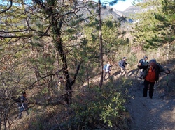  <a style='color: #fff;' href='/uploaded/photo/rando-crepes-a-buis-63dce4ae8ee29.jpg'>(Télécharger)</a>