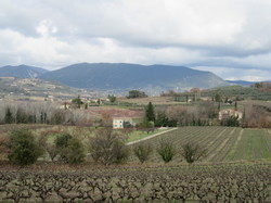  <a style='color: #fff;' href='/uploaded/photo/rando-cry-pes-67ae362819e68.jpg'>(Télécharger)</a>