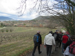  <a style='color: #fff;' href='/uploaded/photo/rando-cry-pes-67ae362a51f8d.jpg'>(Télécharger)</a>