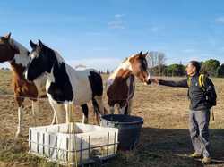  <a style='color: #fff;' href='/uploaded/photo/rando-galettes-696929c5d0438.jpg'>(Télécharger)</a>