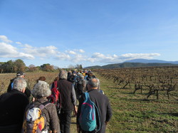  <a style='color: #fff;' href='/uploaded/photo/rando-galettes-696929c8cdeeb.jpg'>(Télécharger)</a>