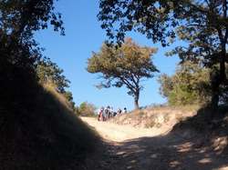  <a style='color: #fff;' href='/uploaded/photo/roaix-68e0039410ebe.jpg'>(Télécharger)</a>