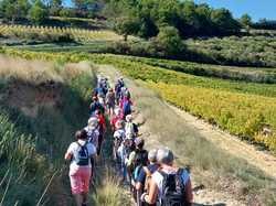  <a style='color: #fff;' href='/uploaded/photo/roaix-68e00394b7a4c.jpg'>(Télécharger)</a>