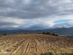  <a style='color: #fff;' href='/uploaded/photo/roaix-rando-galettes-des-rois-678011cf1e485.jpg'>(Télécharger)</a>