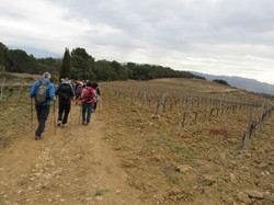  <a style='color: #fff;' href='/uploaded/photo/roaix-rando-galettes-des-rois-678011d321066.jpg'>(Télécharger)</a>