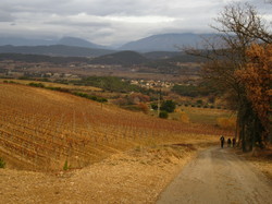  <a style='color: #fff;' href='/uploaded/photo/roaix-rando-galettes-des-rois-678011d35597b.jpg'>(Télécharger)</a>