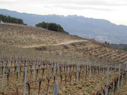  <a style='color: #fff;' href='/uploaded/photo/roaix-rando-galettes-des-rois-678011d3ca9e6.jpg'>(Télécharger)</a>