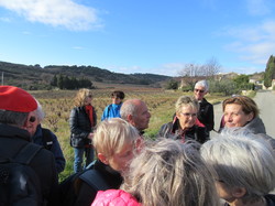  <a style='color: #fff;' href='/uploaded/photo/roaix-rando-galettes-des-rois-678011d3d063e.jpg'>(Télécharger)</a>