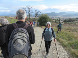  <a style='color: #fff;' href='/uploaded/photo/roaix-rando-galettes-des-rois-678011d4872e3.jpg'>(Télécharger)</a>