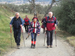  <a style='color: #fff;' href='/uploaded/photo/roaix-rando-galettes-des-rois-678011d499de7.jpg'>(Télécharger)</a>