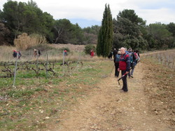  <a style='color: #fff;' href='/uploaded/photo/roaix-rando-galettes-des-rois-678011d4b763e.jpg'>(Télécharger)</a>