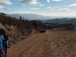  <a style='color: #fff;' href='/uploaded/photo/roaix-rando-galettes-des-rois-678011d523677.jpg'>(Télécharger)</a>