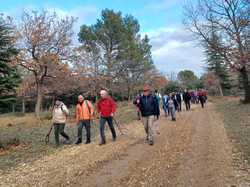  <a style='color: #fff;' href='/uploaded/photo/roaix-rando-galettes-des-rois-678940ab3d89d.jpg'>(Télécharger)</a>