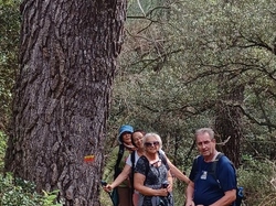  <a style='color: #fff;' href='/uploaded/photo/sablet-fontaine-des-fy-es-68d56d9c35a50.jpg'>(Télécharger)</a>