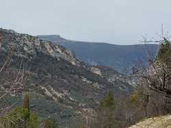  <a style='color: #fff;' href='/uploaded/photo/sahune-67ca054275b38.jpg'>(Télécharger)</a>