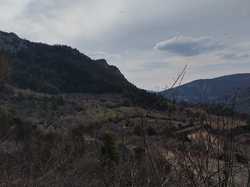  <a style='color: #fff;' href='/uploaded/photo/sahune-67ca05428f42f.jpg'>(Télécharger)</a>